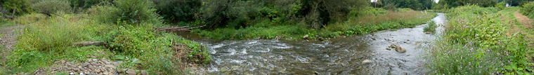 August 29, 2008 - 2080829