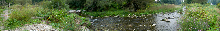 September 4, 2008 - 2080904
