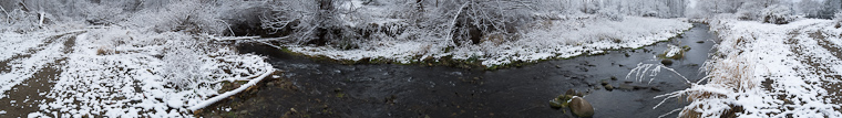 November 10, 2008 - 2081110