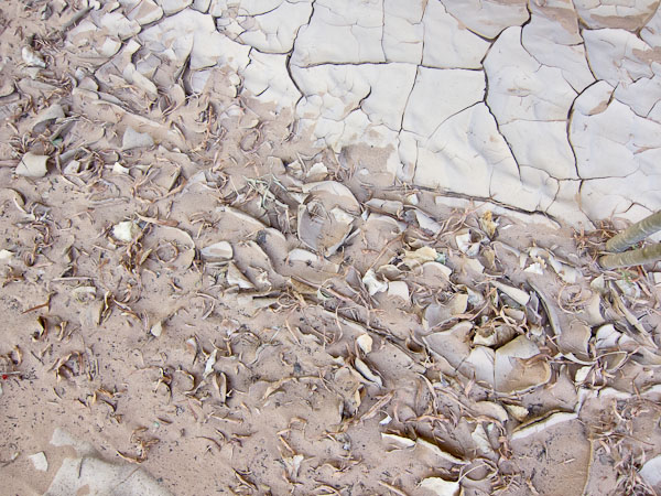 Cracks - 2110515-009