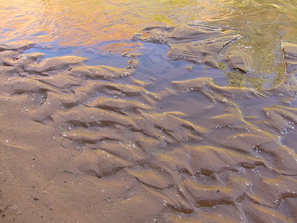 Harris Wash - 2110515-047