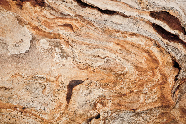 Earth Dough - 2110517-139