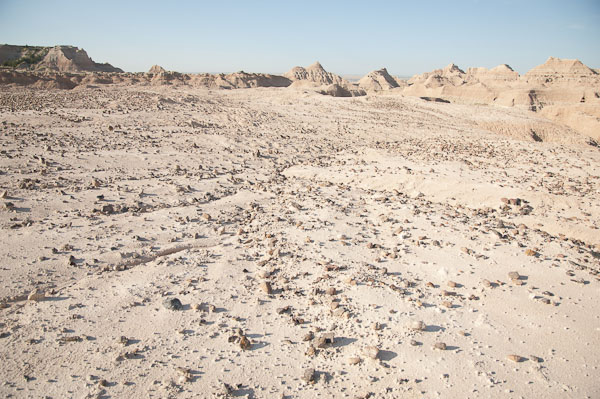 Leave Behinds - 2110719-031