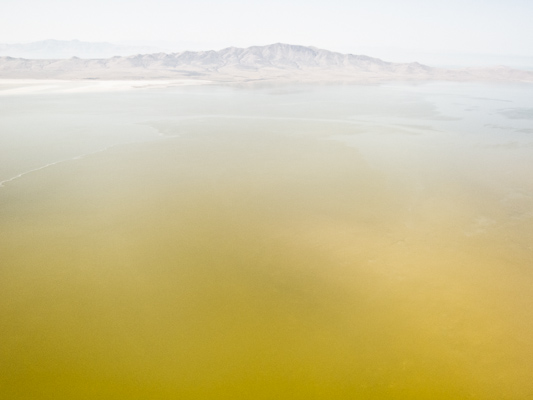 Yellow Water - 2120408-207